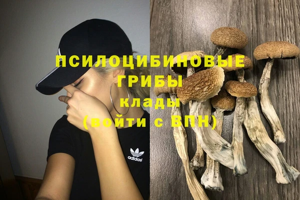 Альфа ПВП Каменск-Шахтинский