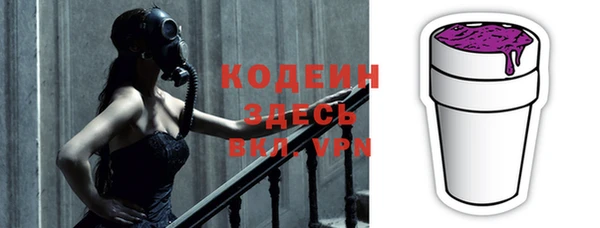 индика Весьегонск