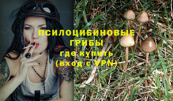 гидропоника Осташков