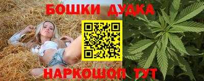 стаф Будённовск