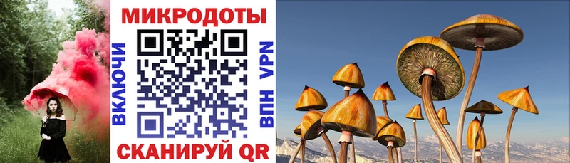 Псилоцибиновые грибы мухоморы маркетплейс состав Азов