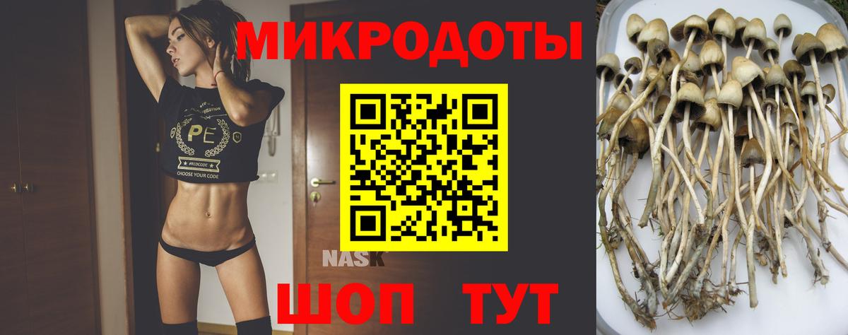 Галлюциногенные грибы мицелий Азов