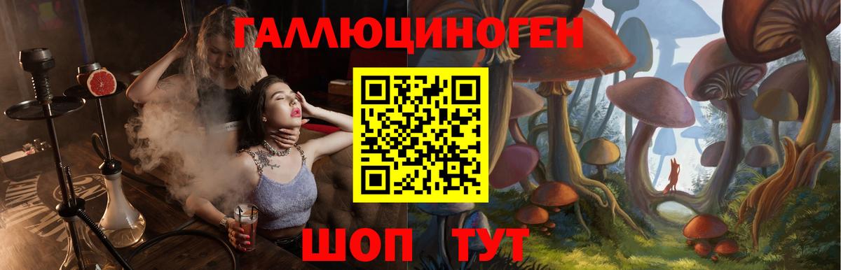 Азов  Псилоцибиновые грибы GOLDEN TEACHER  Вход с VPN 